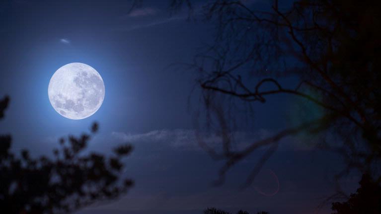 Super Moon casts its spell on the Earth in Auckland 2014